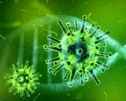 covid-19 coronavirus