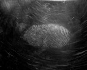 fingerprint