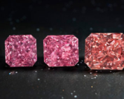 Hero Diamonds 2021 Argyle Pink Diamonds Tender