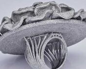 Guinness World Record